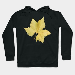 Yellow Maple Tree Leaf Hoodie